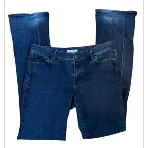 Ann Taylor Loft Dark Denim Jeans Straight Leg Size 30/10
